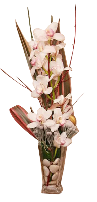 Vase d'orchidée (grand)