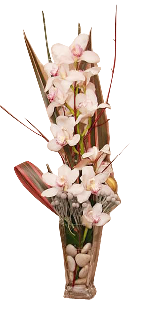 Vase d'orchidée (grand)