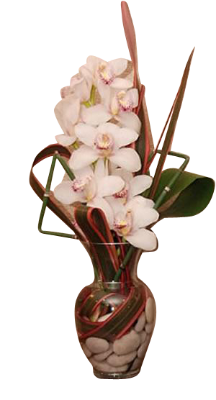Vase d'orchidée (moyen)